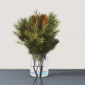 Potted Plant in Transparent Glass Vase with Green Foliage and Orange Flowers on Gray Tabletop against White Background