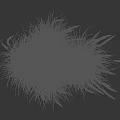 Ornamental Feather Grass with Green Foliage and Purple Plumes in Height Scale on Black Background