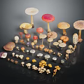 Various Colorful Mushrooms With Different Shapes And Sizes Arranged On Black Background