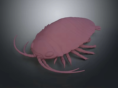 Realistic Pink Isopod 3D Model With Smooth Exoskeleton And Detailed Appendages 3d model