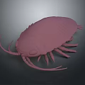 Realistic Pink Isopod 3D Model With Smooth Exoskeleton And Detailed Appendages