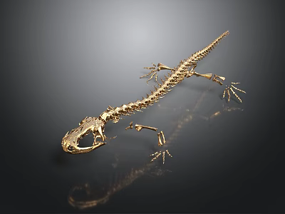 Metallic Detailed Golden Lizard Skeleton on Dark Background with Reflection 3d model