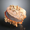 Giant Clam Marine Animal Showcasing Spiky Textured Shell With Orange Inner Surface
