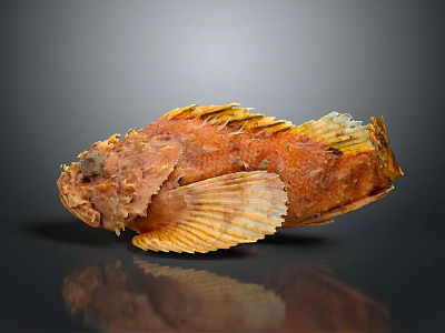 Orange Red Fish with Scales and Fins on Smooth Surface Against Gray Background Showing Reflection 3d model