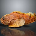 Orange Red Fish with Scales and Fins on Smooth Surface Against Gray Background Showing Reflection
