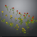Vibrant Red And Yellow Floral Display With Green Leaves On Dark Background