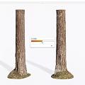 Tall Arbor Trunks With Green Grass At Base On White Background 3d model