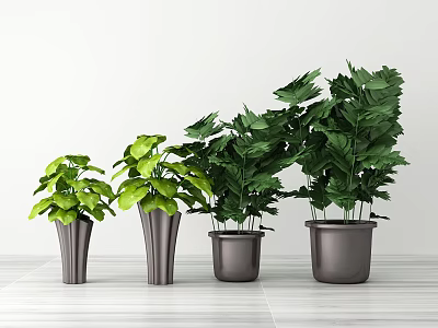 Four Potted Plants With Green Leaves In Dark Gray Pots On Light Floor White Background 3d model