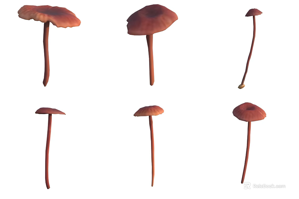 Red Mushrooms Collection With Various Shapes And Different Sizes 3d model