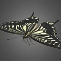 Black and White Butterfly With Patterned Wings Flying On Gray Background 3d model
