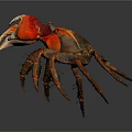 Vibrant Red And Orange Crab With Large Claws Isolated On Gray Background Close Up View