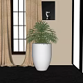 Elegant Bonsai Plant In Gold Pot Near Window With Curtain Indoor