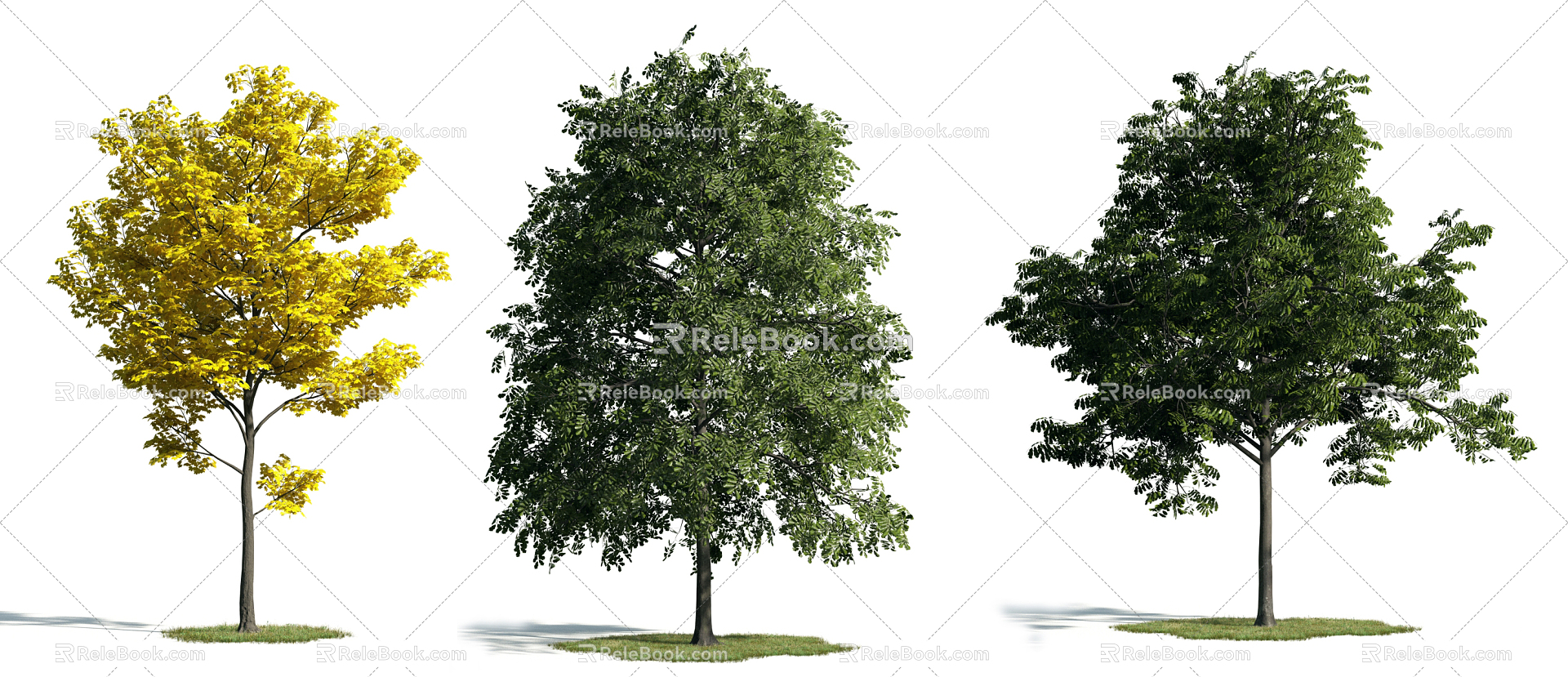 The Modern Tree 3d model