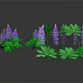 Purple Flowers With Green Leaves On Two Plant Clusters In Gray Background With Reflections