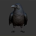 3D Rendered Blue And Brown Crow With Black Eyes Standing On Gray Background
