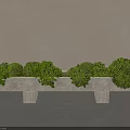 Stone Bench Decorated With Green Moss Balls Against Light Brown Wall In Minimalist Style