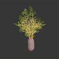 Fresh Green Leafy Plant in White Textured Vase on Gray Background