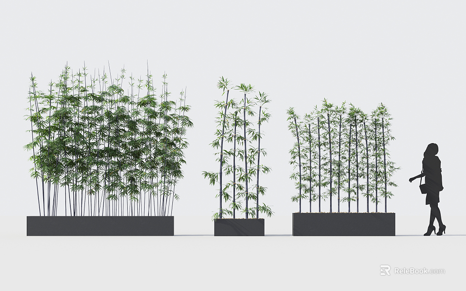 Potted Bamboo Plants of Different Varieties Arranged in a Row for Garden Decor 3d model 