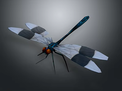 Dragonfly With Blue Black Body Orange Eyes And Black White Wings On Gray Background 3d model