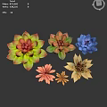 Colorful Succulent Plants With Rosette Shapes And Vibrant Red Green Yellow Blue Hues