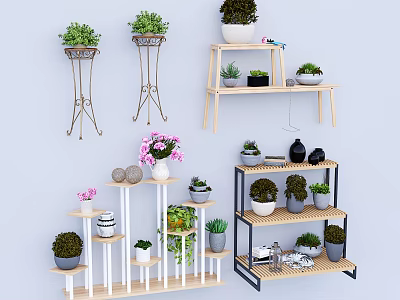 Display Shelves With Various Multi Tiered Designs Wooden Metal Frames Decorated With Potted Plants 3d model