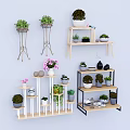 Display Shelves With Various Multi Tiered Designs Wooden Metal Frames Decorated With Potted Plants