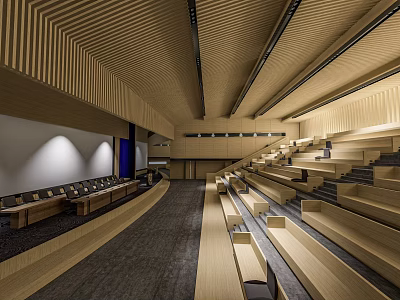 Modern Conference Room Interior With Wooden Ceiling Stepped Seating And Spacious Layout 3d model