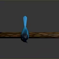 Blue and black bird perched on curved wooden branch against dark background