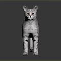 Gray Spotted Cat Standing On Reflective Surface With Silver Fur And Dark Background 3d model