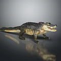 Realistic Crocodile Figure With Detailed Skin Texture Open Mouth Standing Pose On Glossy Surface Reflection