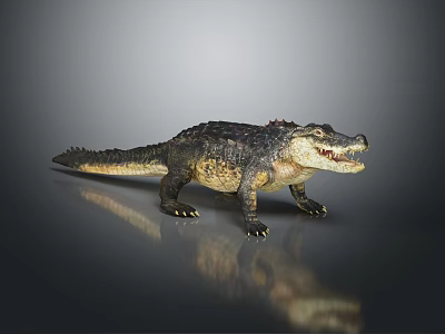 Realistic Crocodile Figure With Detailed Skin Texture Open Mouth Standing Pose On Glossy Surface Reflection 3d model
