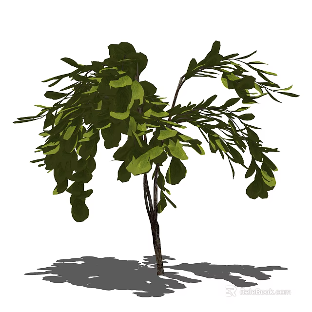 Shrub With Lush Green Leaves Graceful Brown Branches And Natural Form 3d model 
