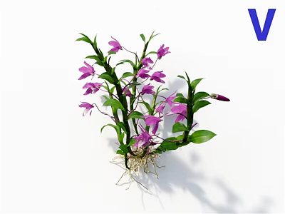 Beautiful Fresh Purple Flowers Growing With Lush Green Leaves And Exposed Roots 3d model