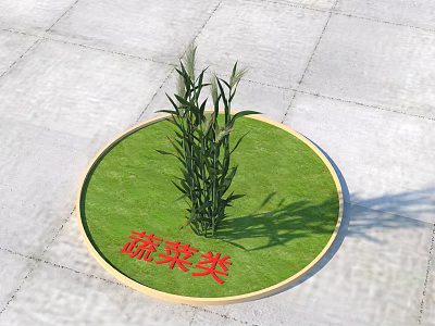 Vibrant Vegetable Plants Thriving in Circular Green Patch on Paved Ground 3d model