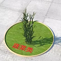 Vibrant Vegetable Plants Thriving in Circular Green Patch on Paved Ground