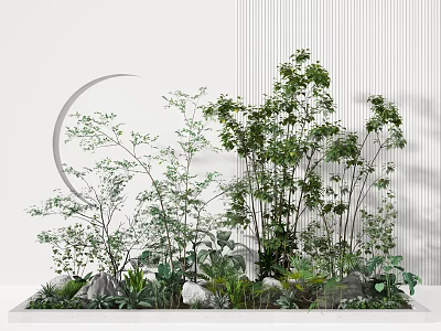 Elegant Garden Decor With Diverse Green Plants Stones And Circular White Accents 3d model