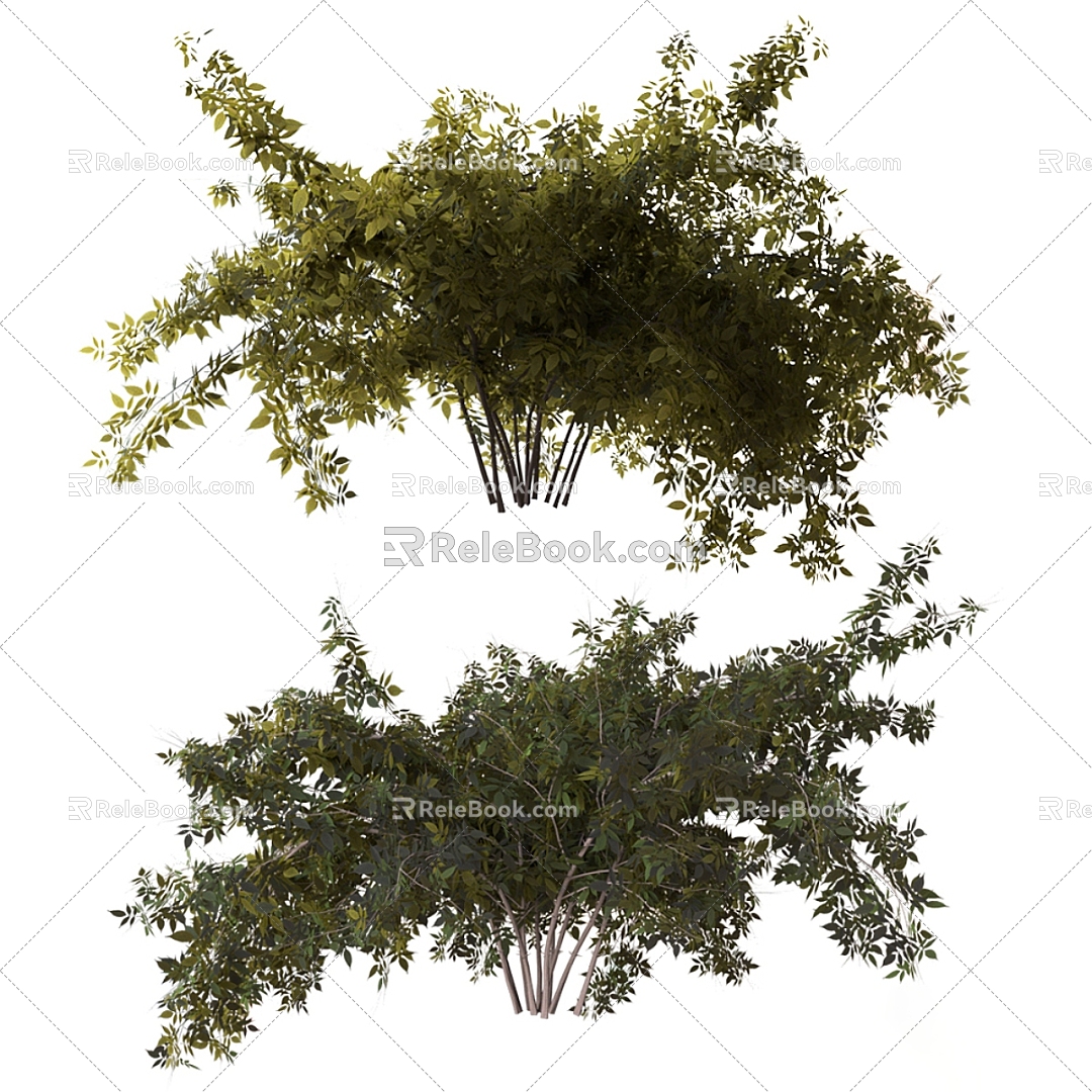 trees shrubs landscape trees 3d model