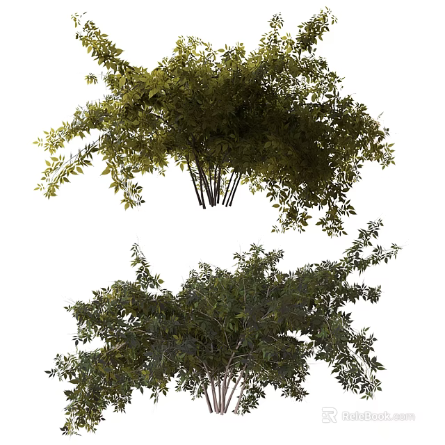 Lush Green Shrubs With Dense Branches And Vibrant Foliage For Garden Landscaping 3d model 