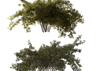 trees shrubs landscape trees 3d model