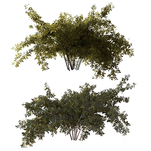 trees shrubs landscape trees 3d model