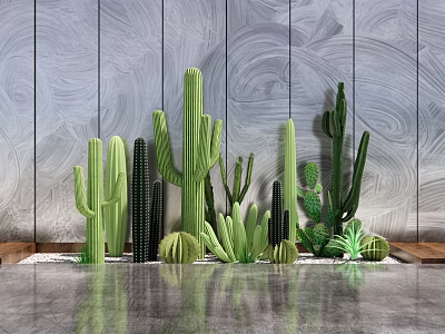 Various Cactus Potted Plants Arranged Against Gray Wooden Wall Background 3d model