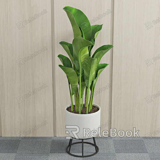 modern potted plant green plant model