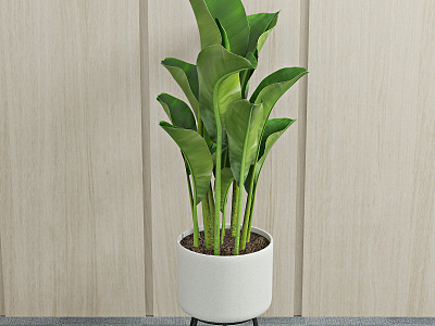 modern potted plant green plant model