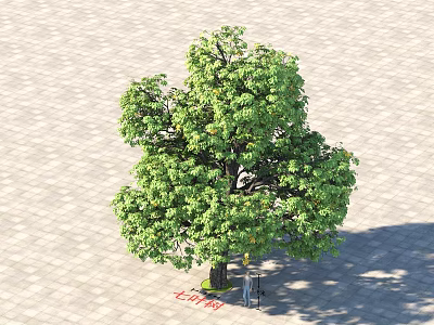 Lush Green Arbor With Dense Foliage And Orange Fruits On Paved Ground 3d model