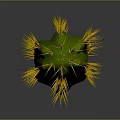 Tall Green Cactus Plant With Long Stem And Yellow Spines In Natural Setting