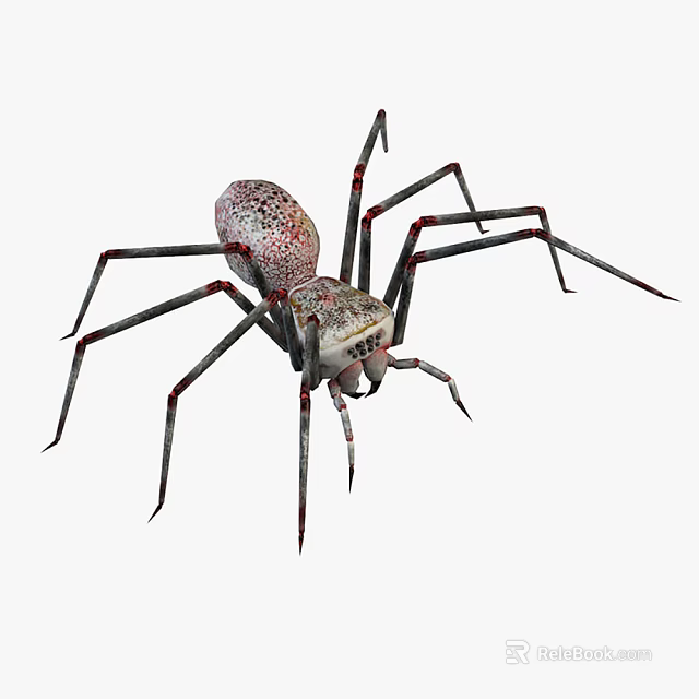 Spotted Reptile With Long Legs And Red Joints On White Background 3d model 
