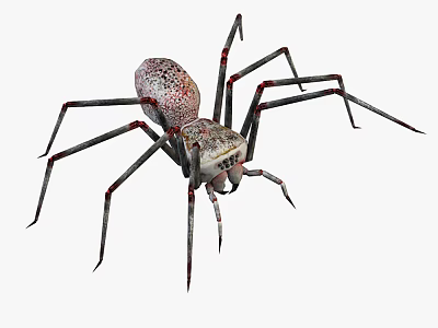 Spotted Reptile With Long Legs And Red Joints On White Background 3d model