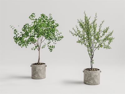 Modern Potted Plant 3d model