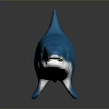 Realistic Blue Shark Model Displayed On Dark Background With Clear Reflection 3d model
