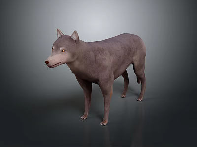 Gray Dog in Standing Position with Realistic 3D Model and Gradient Background 3d model